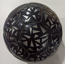 Футбольний м'яч puma evo speed купити в спортивному магазині майстерні ballslab в Україні